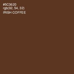 #5C3620 - Irish Coffee Color Image